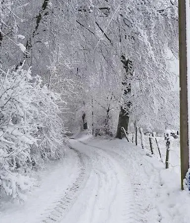 Belka Am Rursee Apartmán *