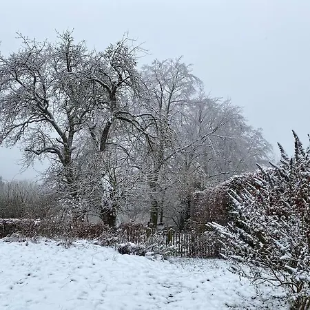 Belka Am Rursee * Simmerath