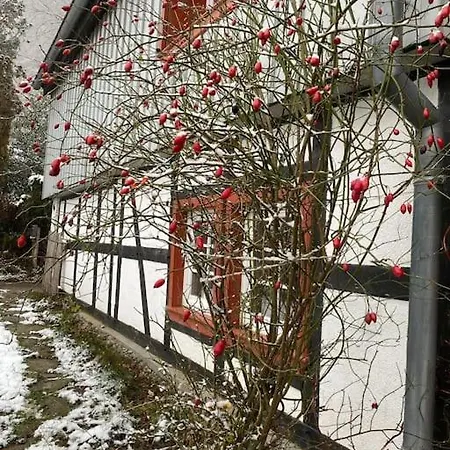 Apartmán Belka Am Rursee