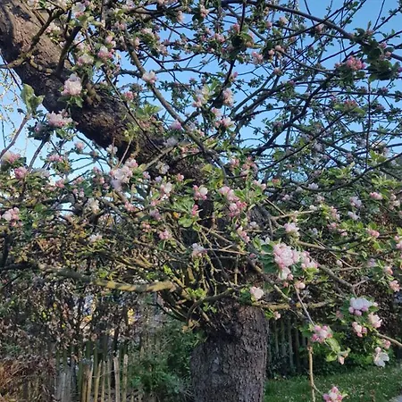 公寓 Belka Am Rursee *