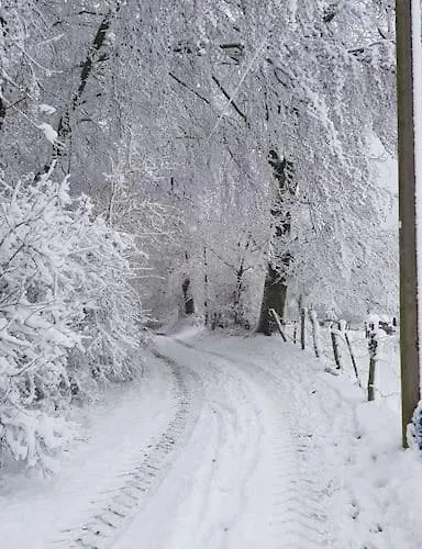 Belka Am Rursee Apartamento *