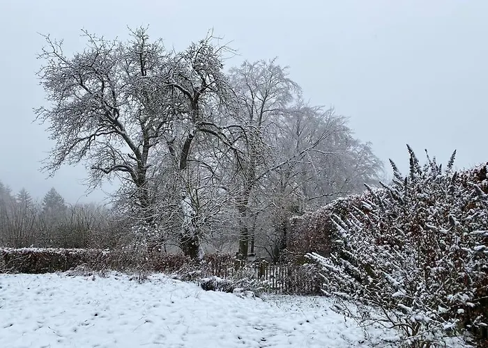 Belka Am Rursee * Simmerath