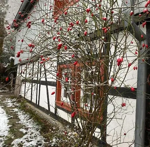 Apartamento Belka Am Rursee